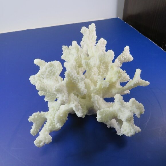 Faux Coral (very realistic) White 5" tall 9x7" wide over 1lb has a repaired arm - Picture 2 of 12